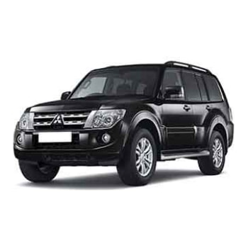 Pajero Wagon (06-13)